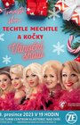 TECHTLE MECHTLE - Vánoční show 2023
