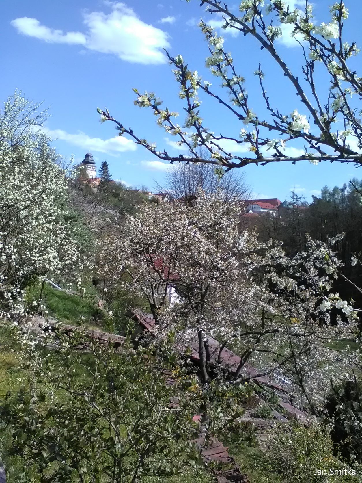 Jaro v Bechyni