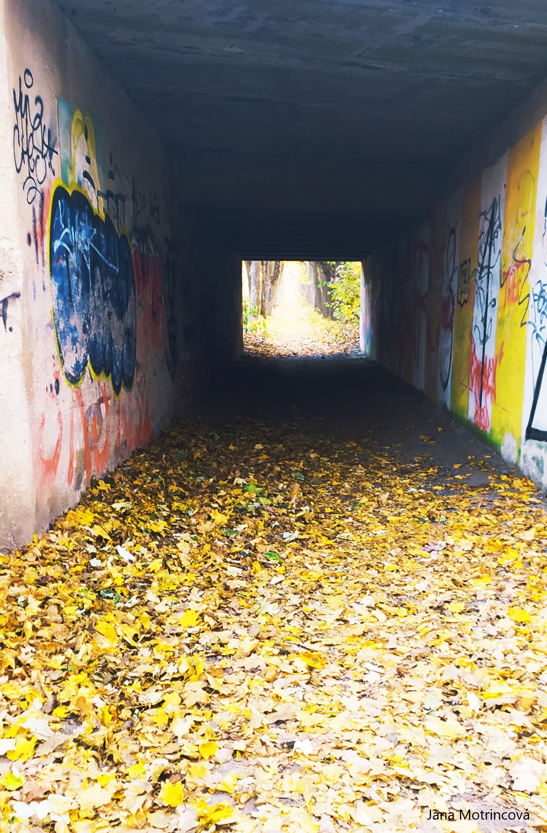 Tunel v Bechyni
