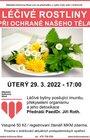 Léčivé rostliny při ochraně našeho těla