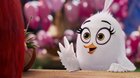 Angry Birds vo filme