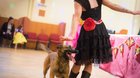 FOTO: Veľký ples malých princezien a princov 2017