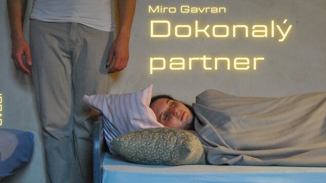 Miro Gavran: Dokonalý partner