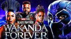 Čierny Panter: Navždy Wakanda