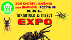 TARANTULY a HMYZ z CELÉHO SVETA 