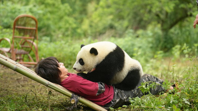 Panda a ja