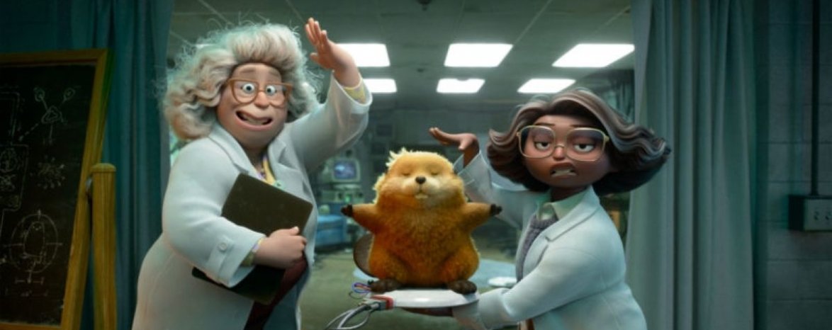 Na skok do divočiny