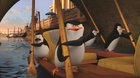 Tučniaky z Madagaskaru