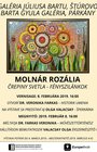 MOLNÁR ROZÁLIA - Črepiny svetla, 08.02.2019