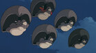 Ponpoko