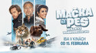 MAČKA A PES: BLÁZNIVÉ DOBRODRUŽSTVO