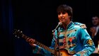 Beatles valentín show - The Backwards