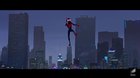 Spider-Man: Paralelní světy