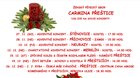 Vánoční koncerty 2021 - Carmina