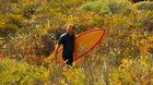 Surfer