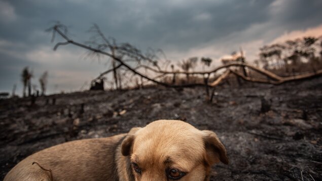 Cestopisná a fotografická beseda - David Těšínský