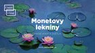 MONETOVE LEKNÁ: MÁGIA VODY A SVETLA