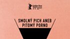 Smolný pich aneb Pitomý porno