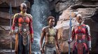 Čierny Panther: Navždy Wakanda