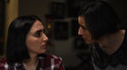 FILMOVÝ KLUB: Semínko posvátného fíkovníku