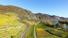 Údolí Wachau a zahrady v Langenlois
