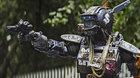 Chappie