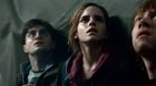 Harry Potter a Relikvie smrti 2