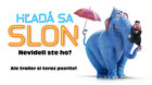 Hľadá sa slon