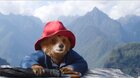 Paddington v džungli