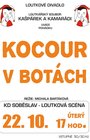 Kocour v botch