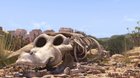 Khumba