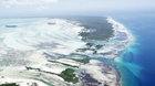 Aldabra: Byl jednou jeden ostrov 