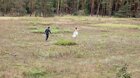 Miluj svojho robota