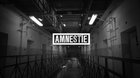 Amnestie