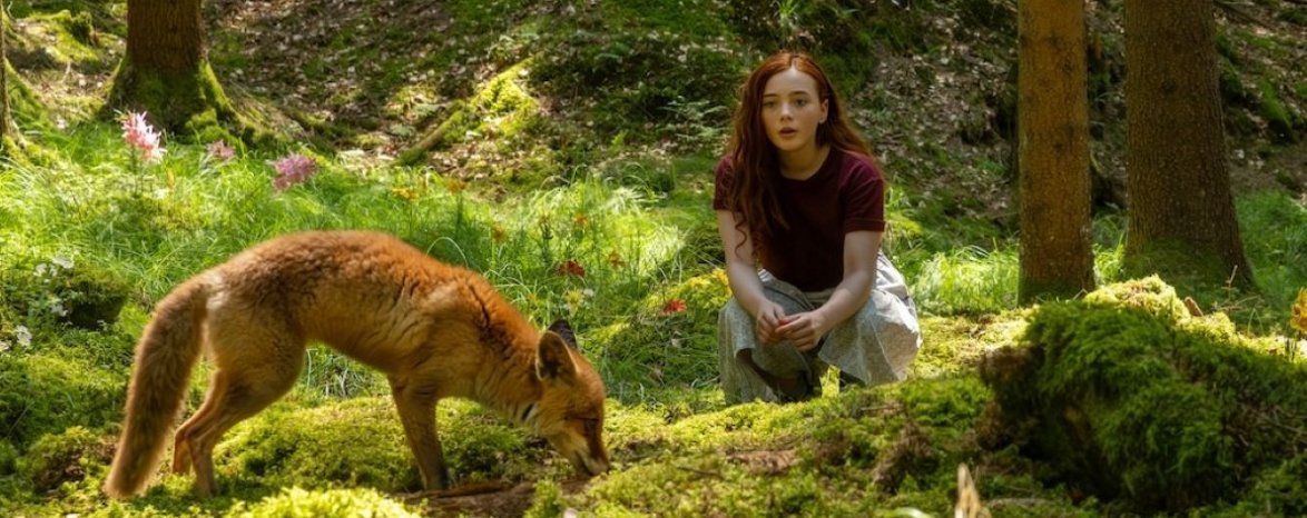 Dívka jménem Willow