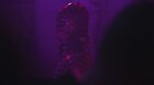 Disco Boy
