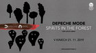 Depeche Mode: SPIRITS in the Forest