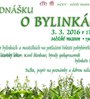 Přednáška O BYLINKÁCH