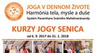 JOGA v Dennom živote 