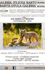 XIX. Medzinárodná výstava umeleckej fotografie maďarských fotografov, 08.01.2020