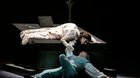 ROMEO A JULIE (Charles Gounod)- záznam z MET 