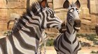 KHUMBA