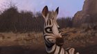 KHUMBA