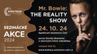 Mr. Bowie: The Reality Show