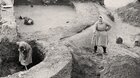 OBJAVOVANIE MIKULĆÍC + HROBY KRIŽIAKOV + TAJOMNÝ LIBANON: POKLADY BYBLOSU : ARCHEOFILM