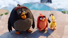 Angry Birds vo filme