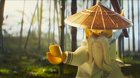 LEGO® Ninjago® film