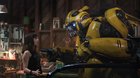 Bumblebee