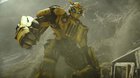 Bumblebee