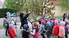 FOTO: Zdobenie kraslicového stromu 2019